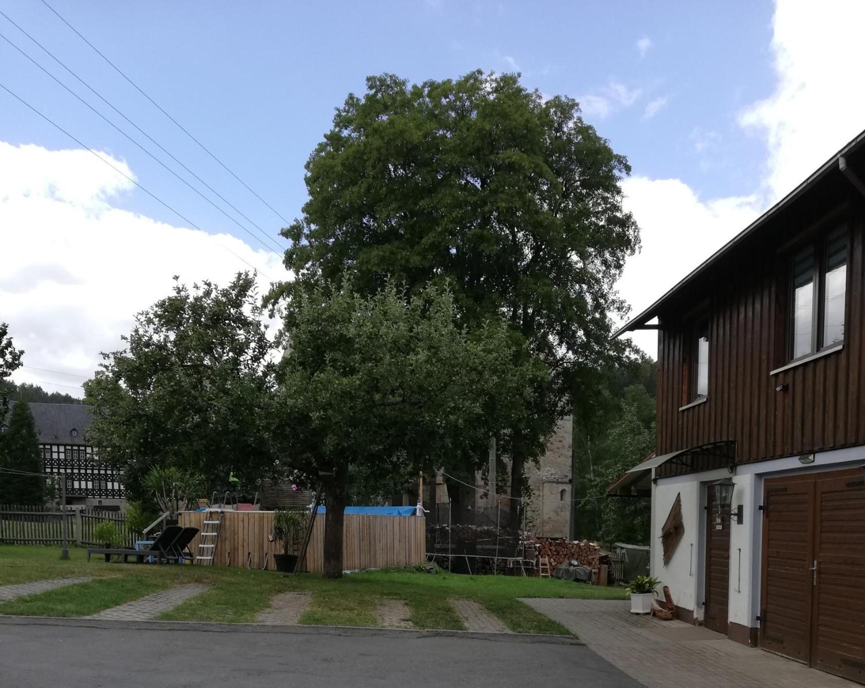 Fewo An Der Klosterruine Paulinzella Mit Kostenfreien Parkplatz Und Wlan 外观 照片