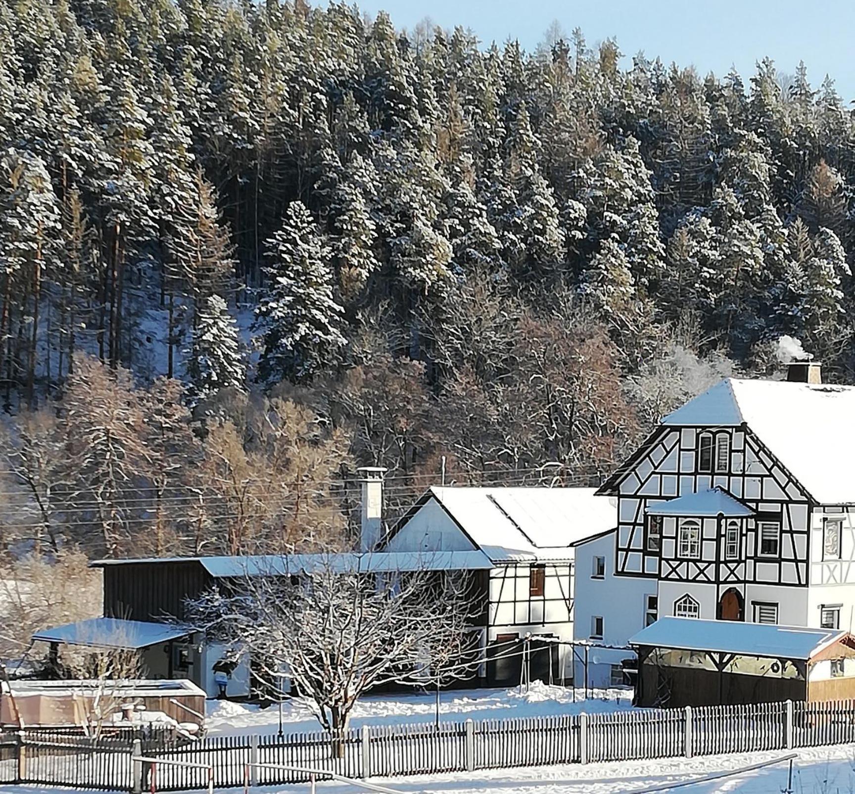 Fewo An Der Klosterruine Paulinzella Mit Kostenfreien Parkplatz Und Wlan 外观 照片